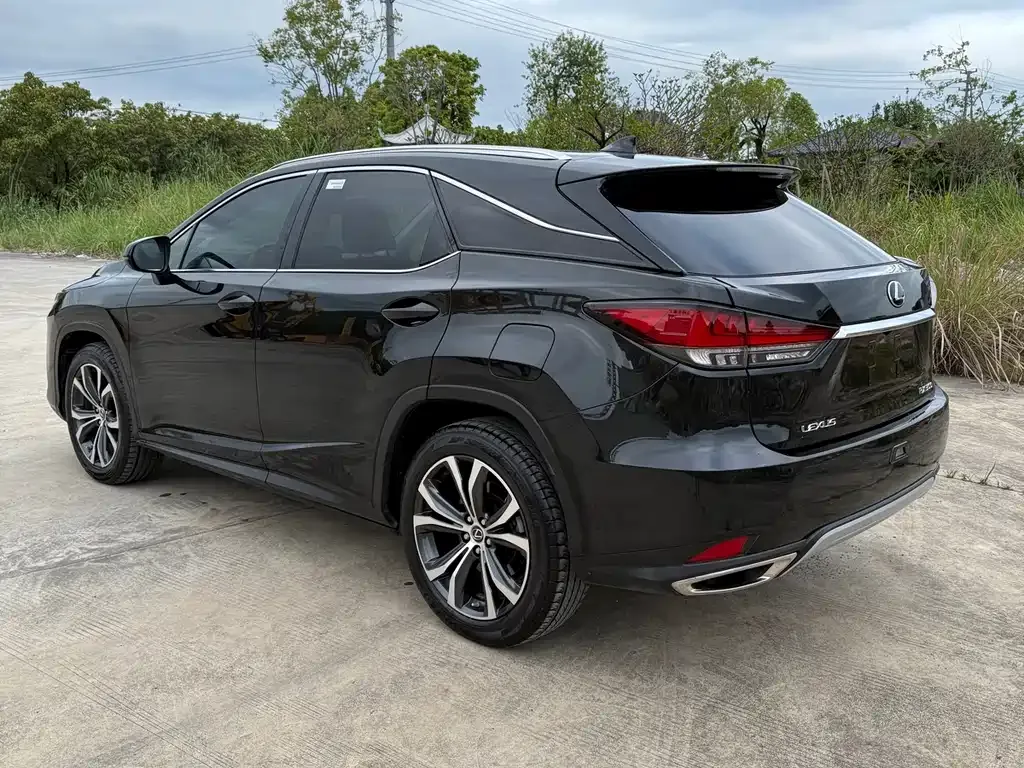 Lexus RX 2021 из CN, фото 7