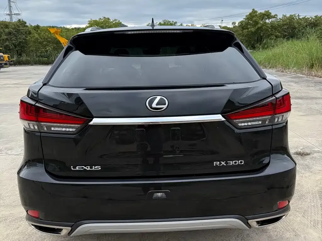 Lexus RX 2021 из CN, фото 8