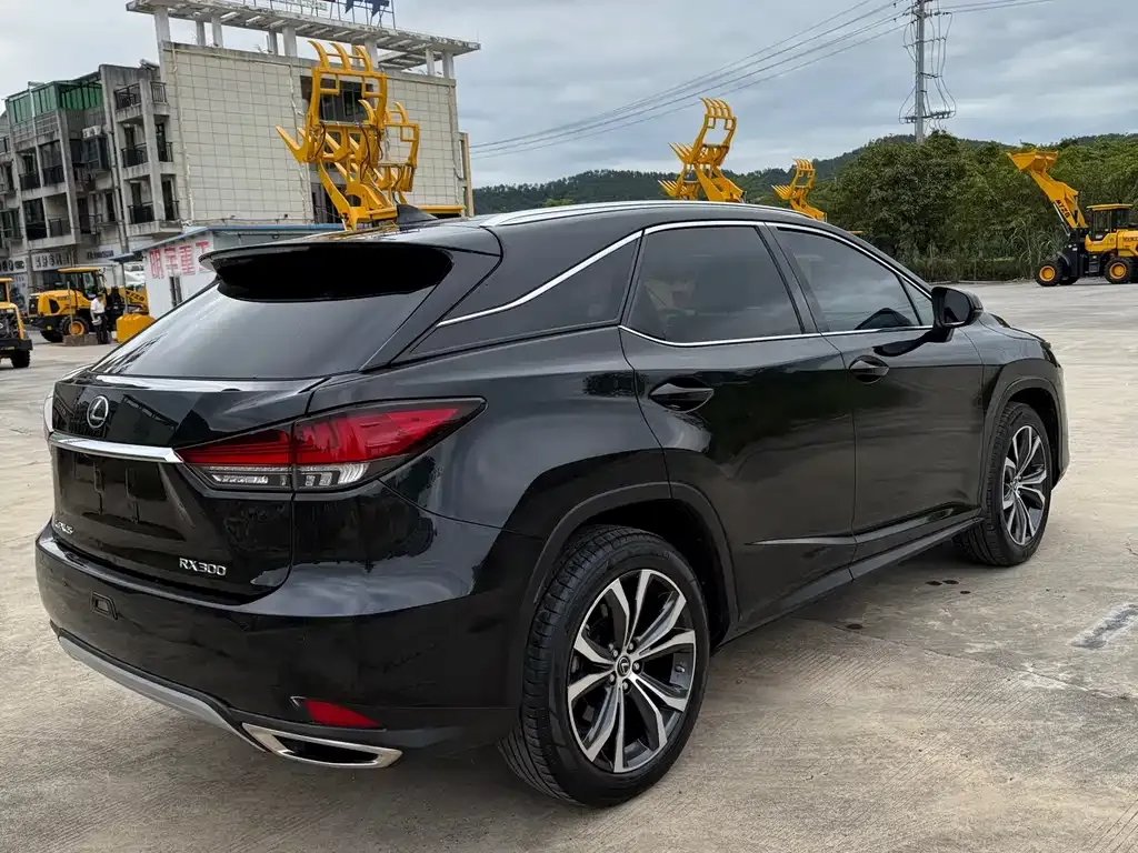 Lexus RX 2021 из CN, фото 9