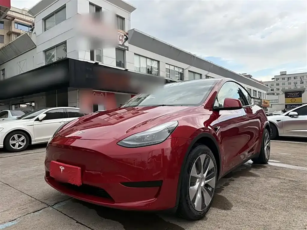 Tesla Model Y — фото 3