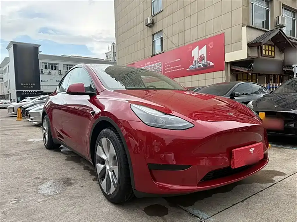 Tesla Model Y — фото 6