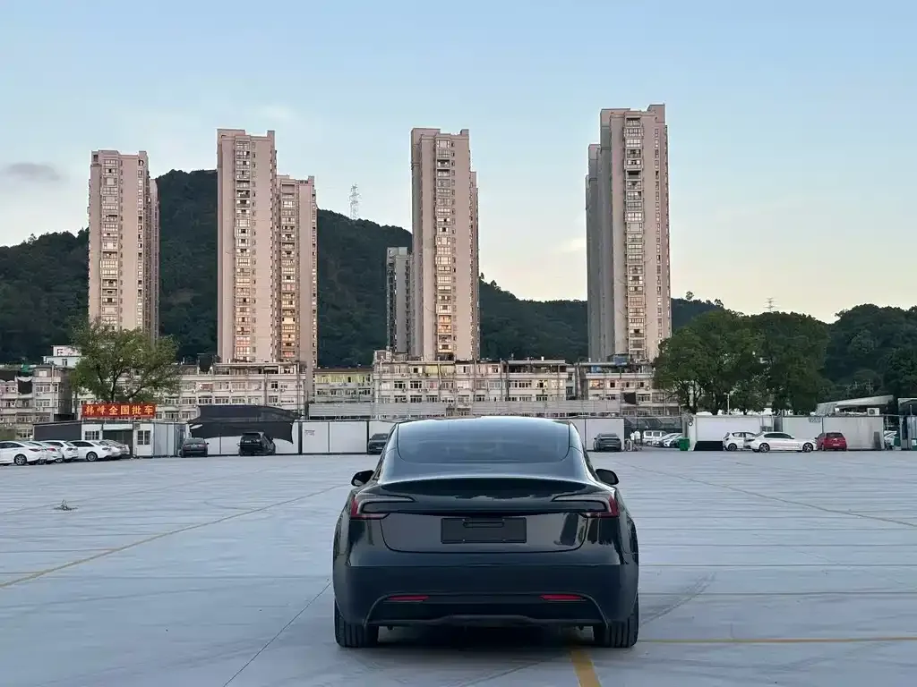 Tesla Model 3 2025 из CN, фото 8
