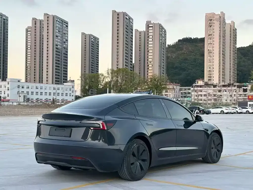 Tesla Model 3 2025 из CN, фото 9