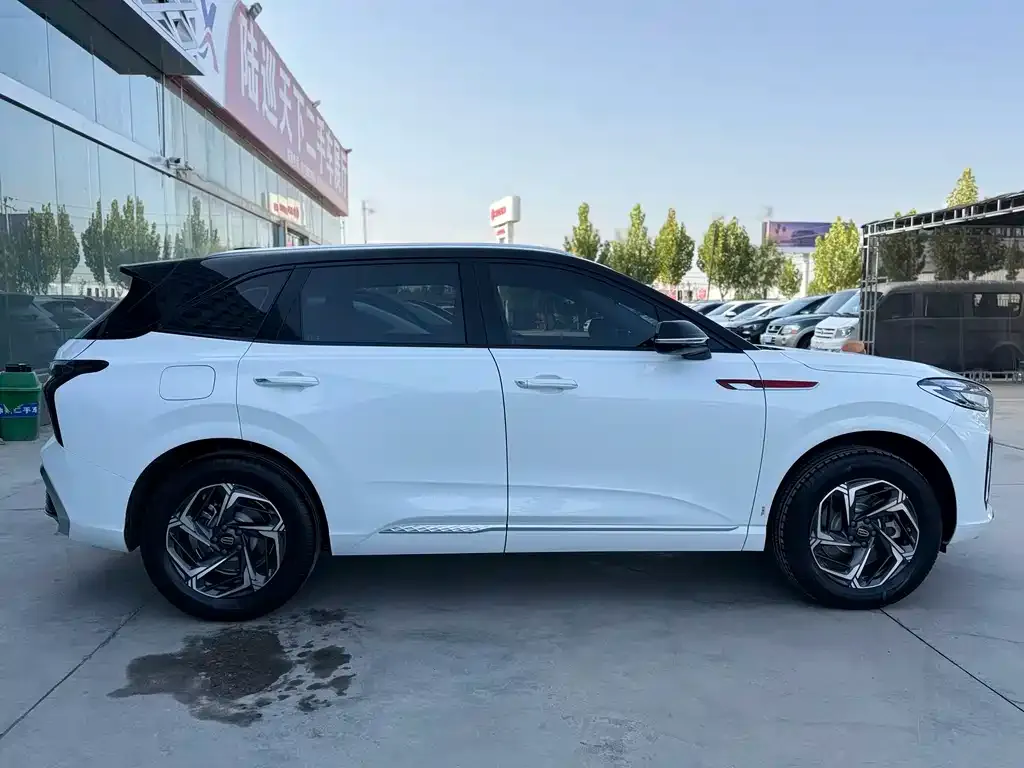 Hongqi HS3 2024 из CN, фото 4