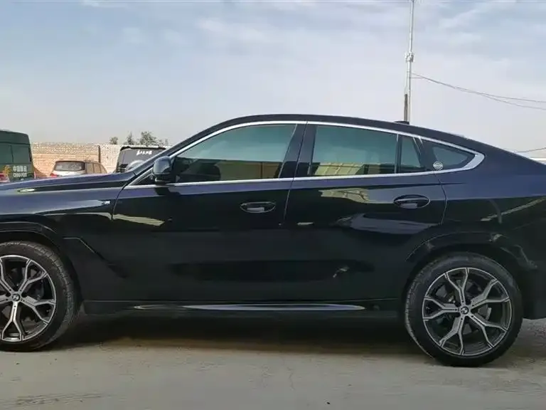BMW X6 2021 из CN, фото 6