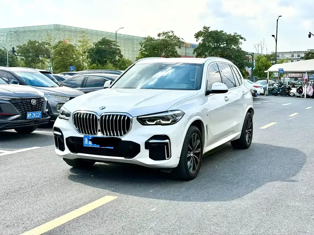 BMW X5 2022 из CN, фото 1