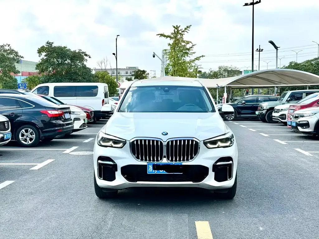 BMW X5 2022 из CN, фото 3