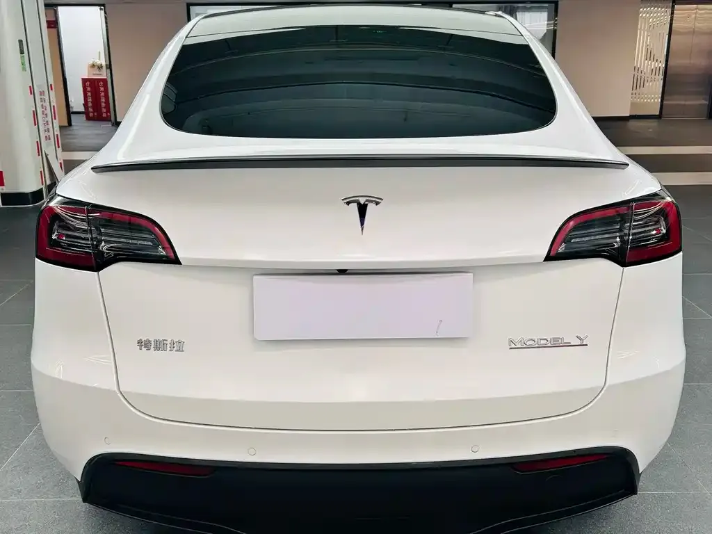 Tesla Model Y 2022 из CN, фото 7