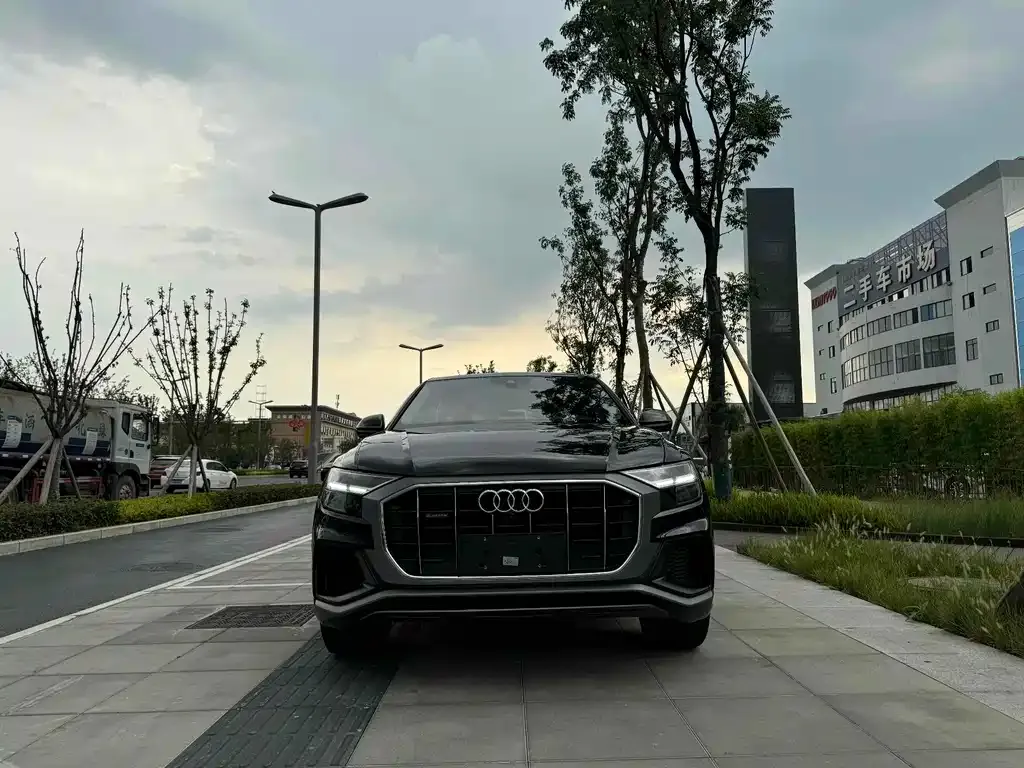 Audi Q8 2021 из CN, фото 2