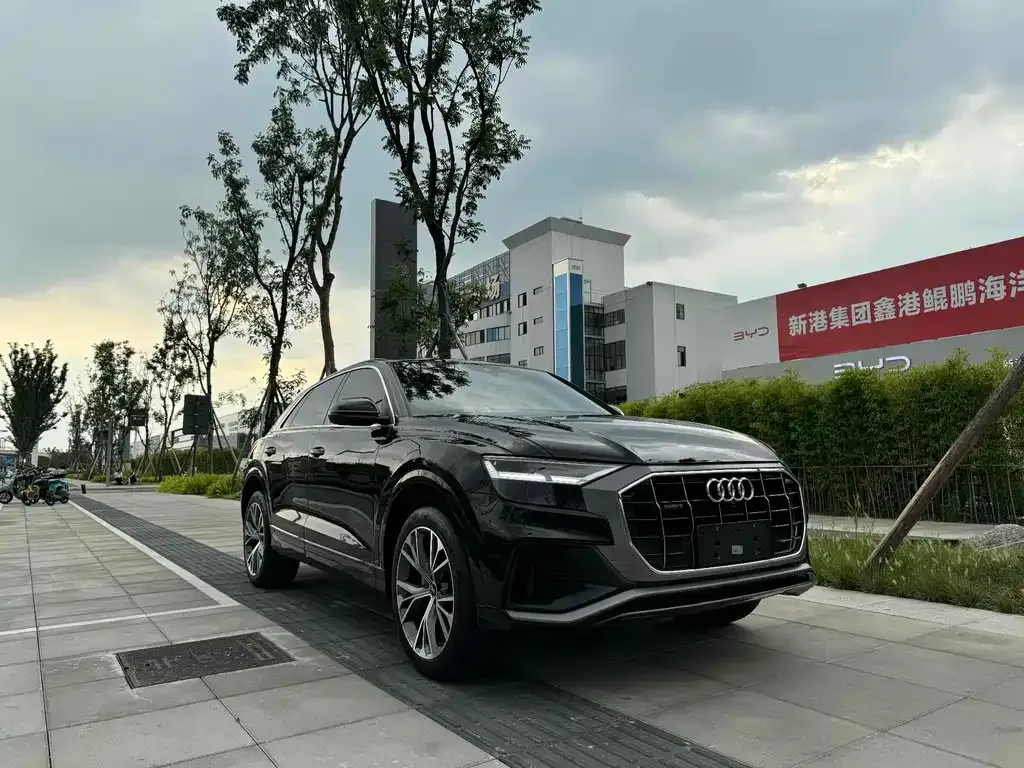 Audi Q8 2021 из CN, фото 3