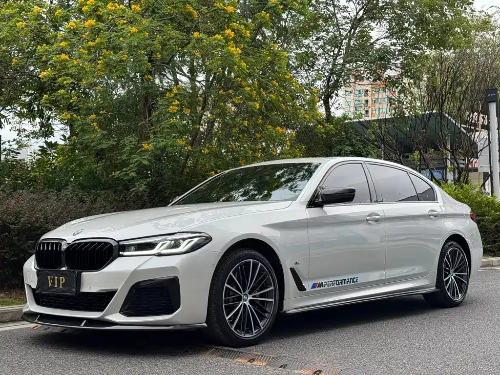 BMW 5 Series 2022 из CN, фото 1