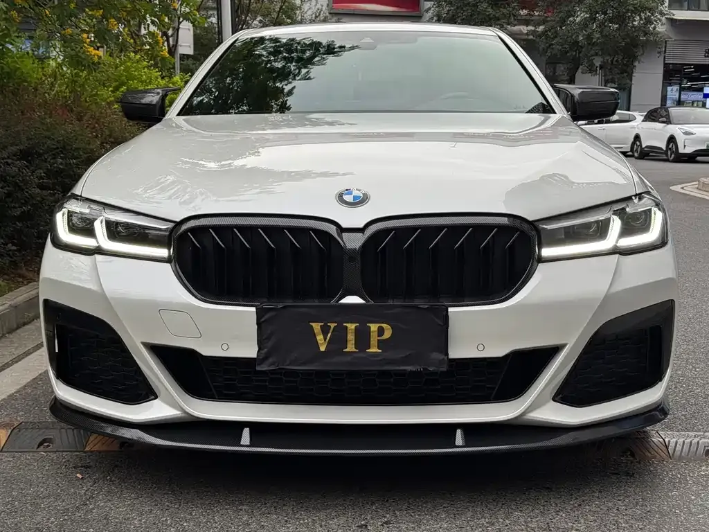 BMW 5 Series 2022 из CN, фото 2