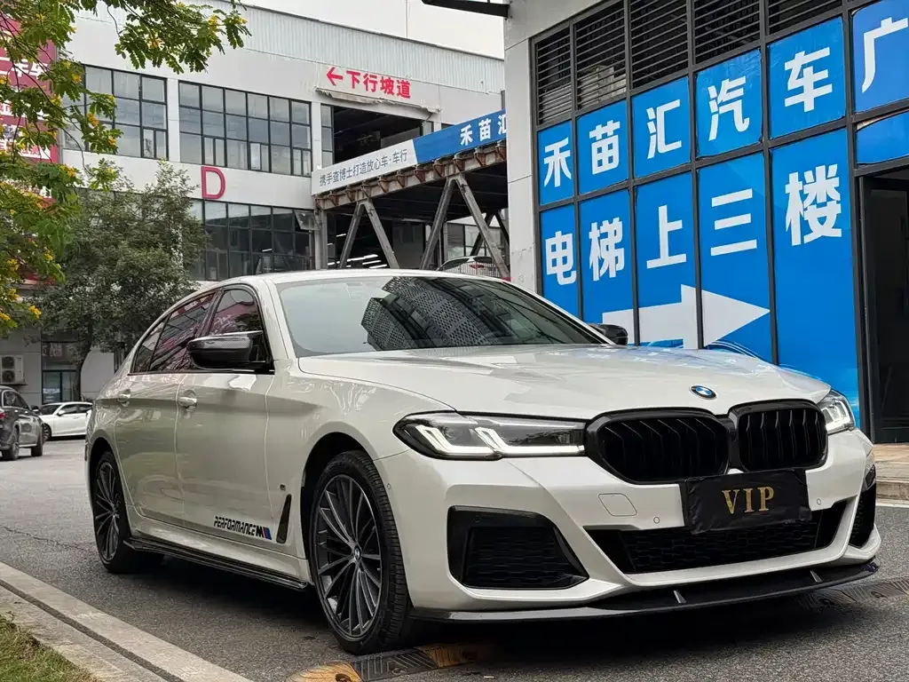 BMW 5 Series 2022 из CN, фото 3
