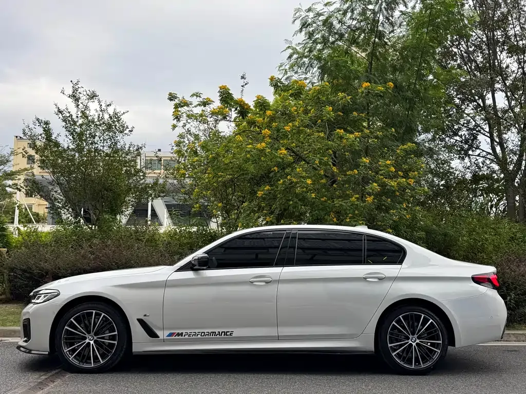BMW 5 Series 2022 из CN, фото 4