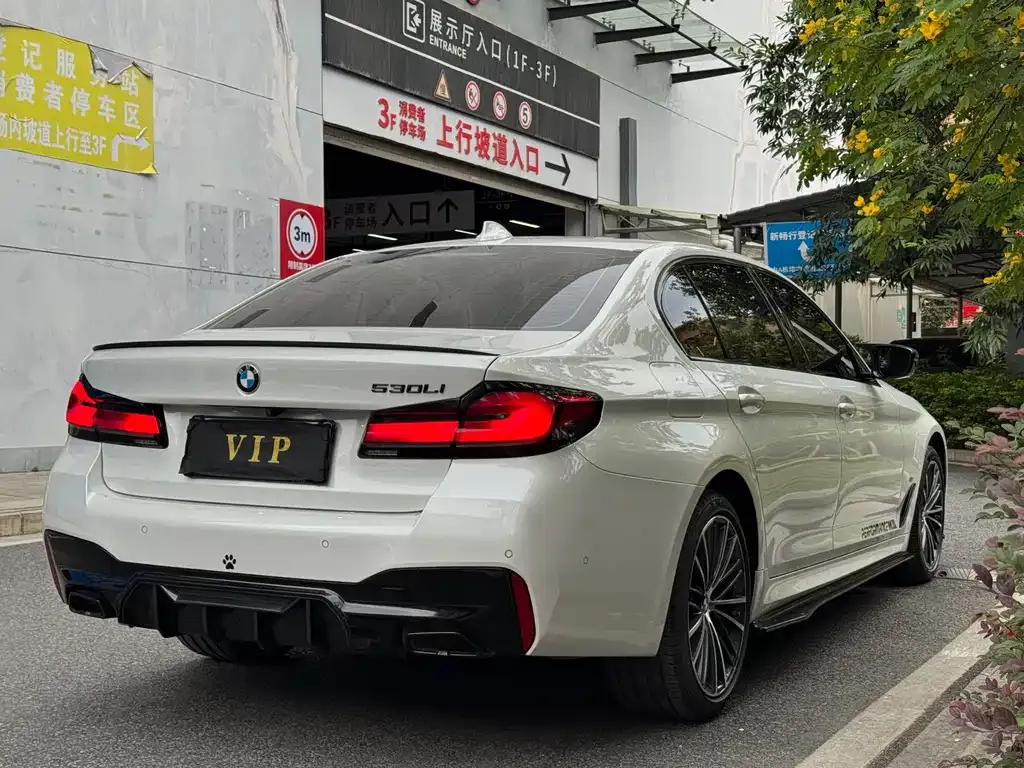 BMW 5 Series 2022 из CN, фото 5