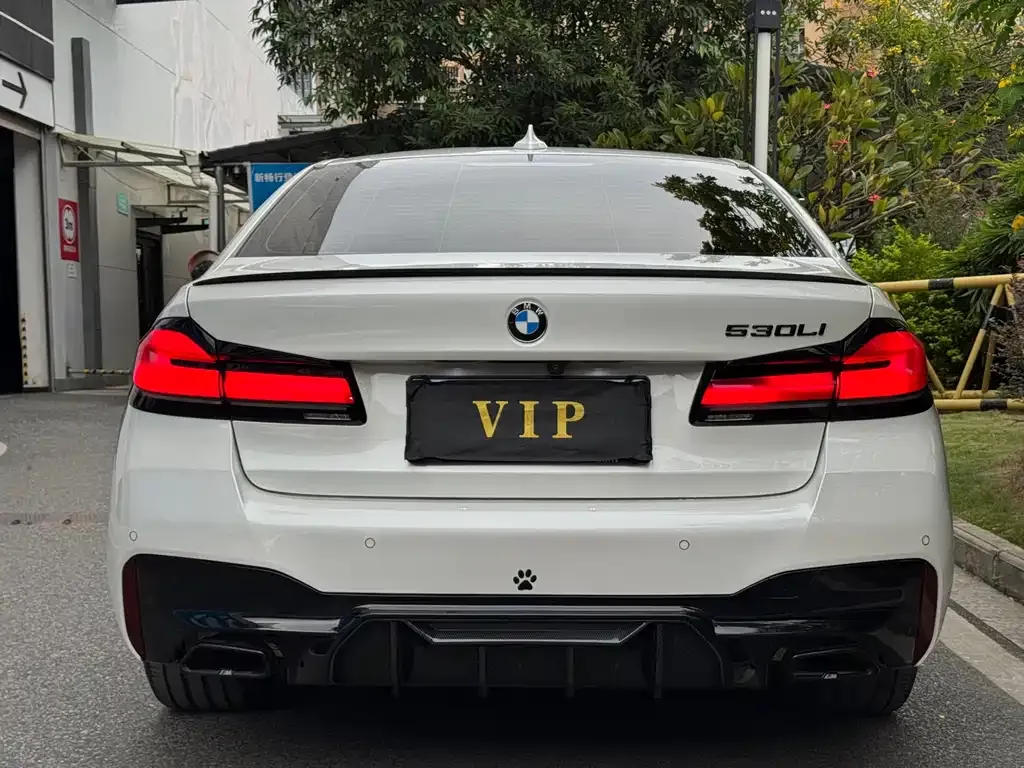 BMW 5 Series 2022 из CN, фото 6