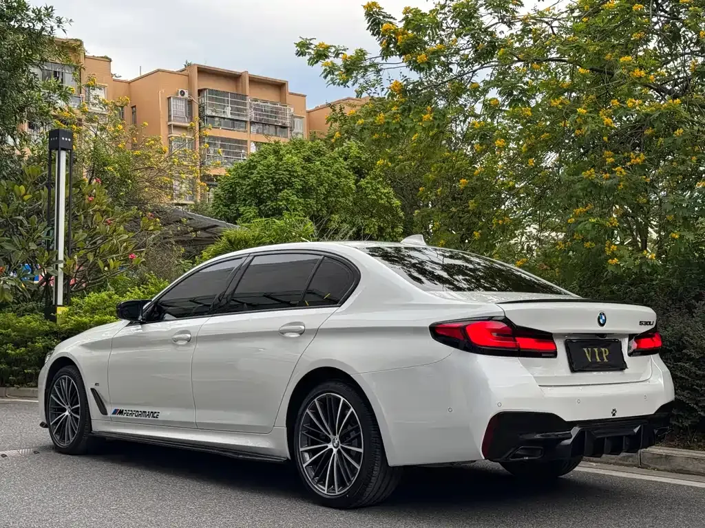 BMW 5 Series 2022 из CN, фото 7