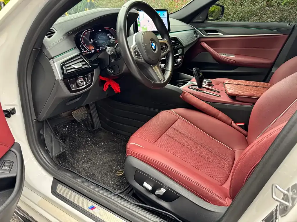 BMW 5 Series 2022 из CN, фото 8
