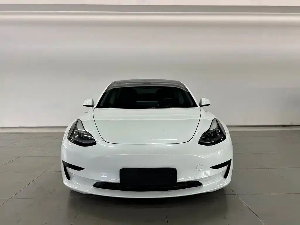 Tesla Model 3 2023 из CN, фото 2