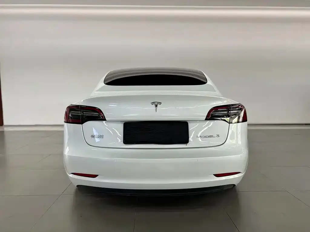 Tesla Model 3 2023 из CN, фото 5