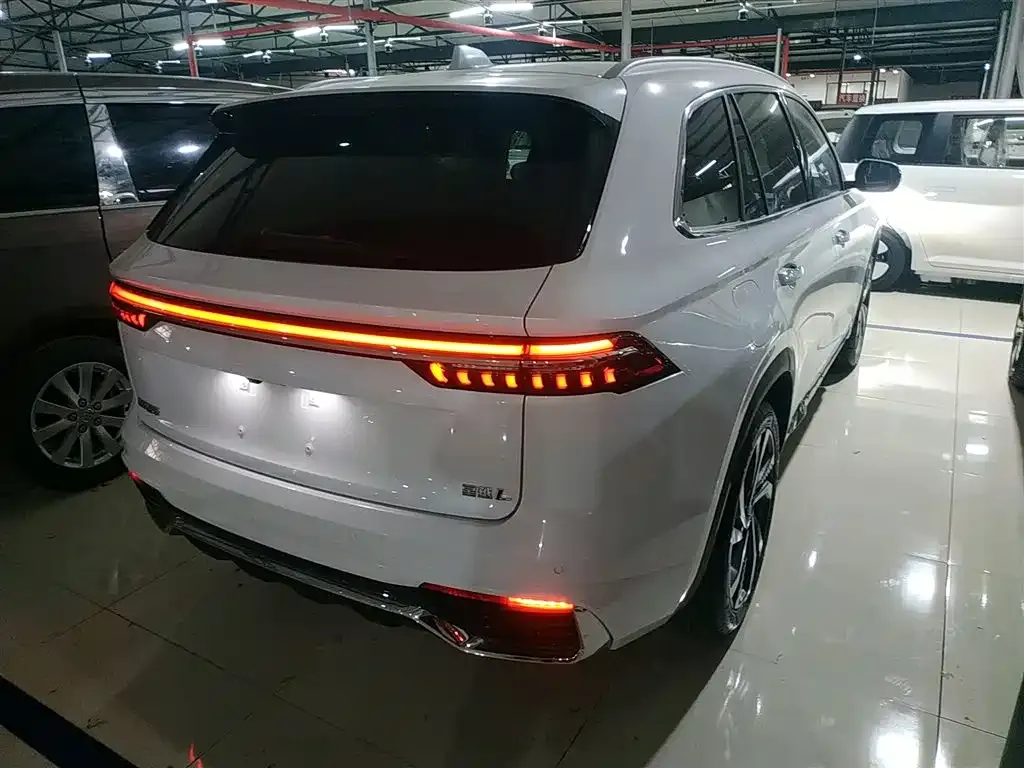 Geely Xingyue L 2023 из CN, фото 7