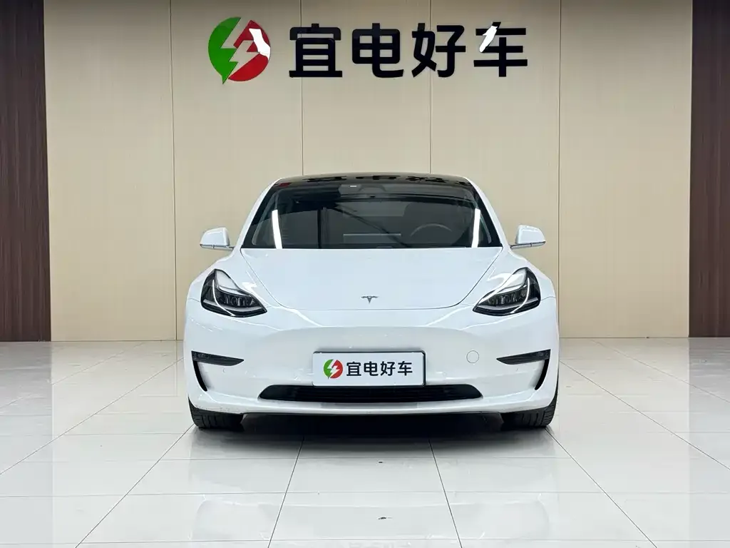 Tesla Model 3 2021 из CN, фото 2