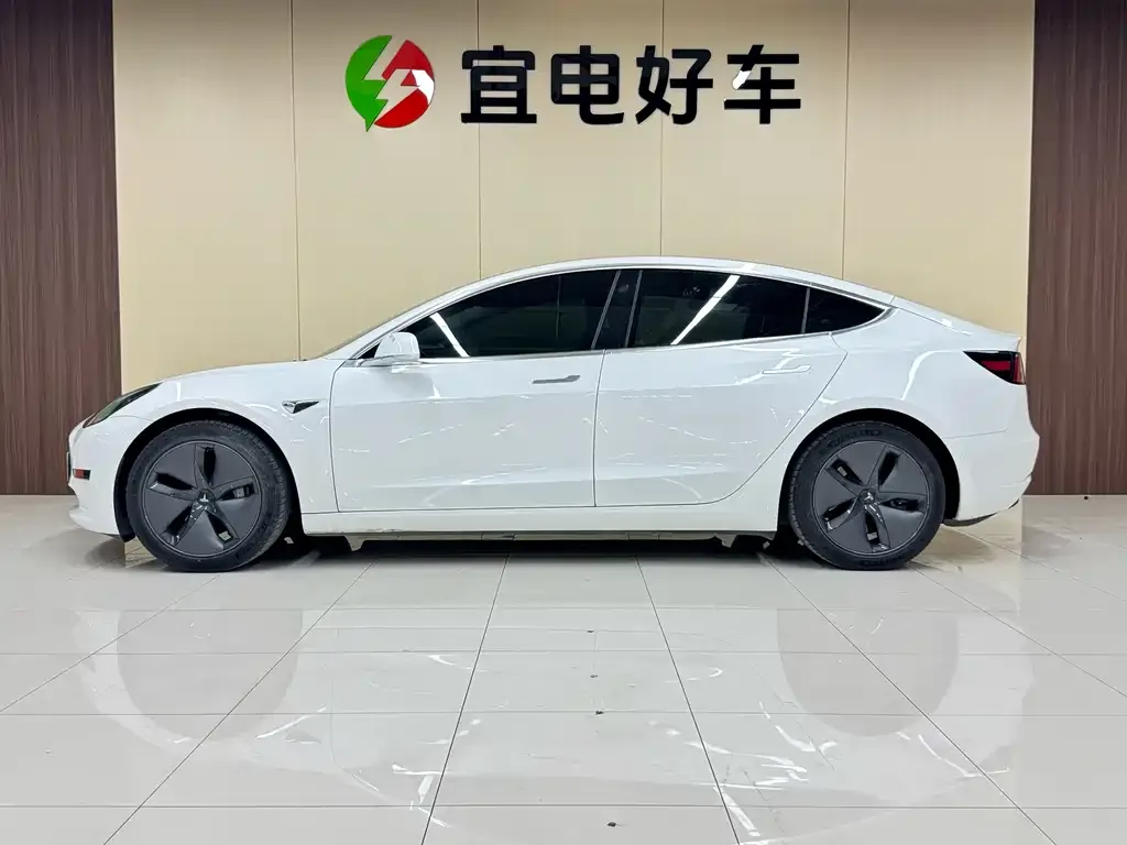 Tesla Model 3 2021 из CN, фото 4