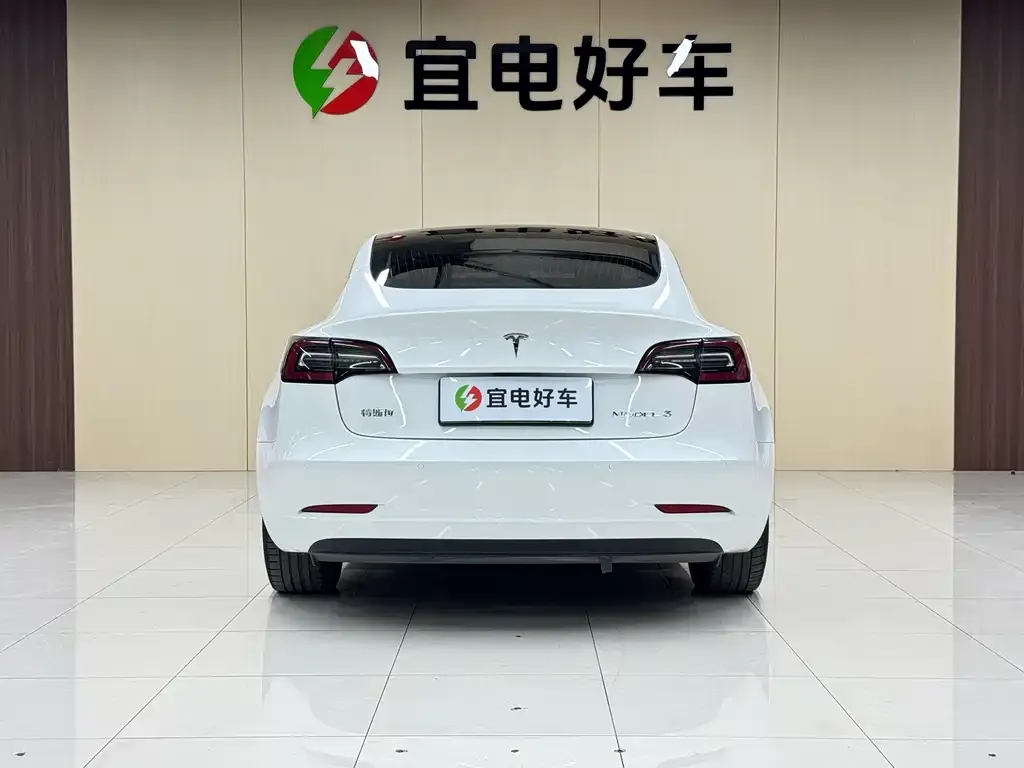 Tesla Model 3 2021 из CN, фото 6