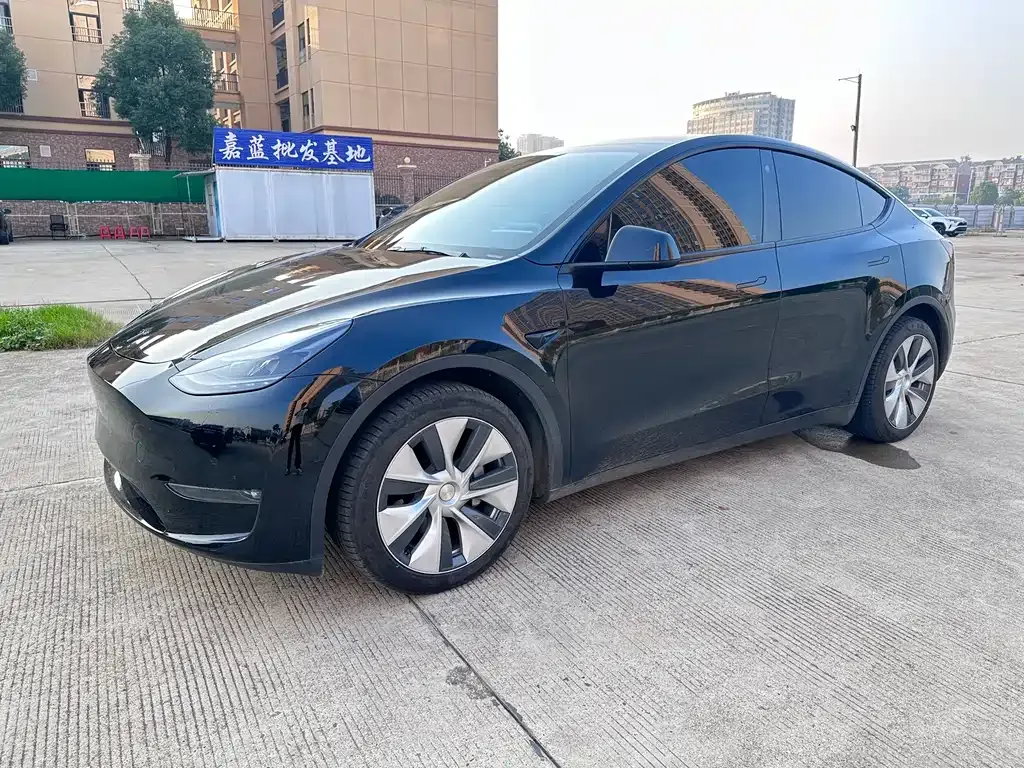 Tesla Model Y 2021 из CN, фото 1