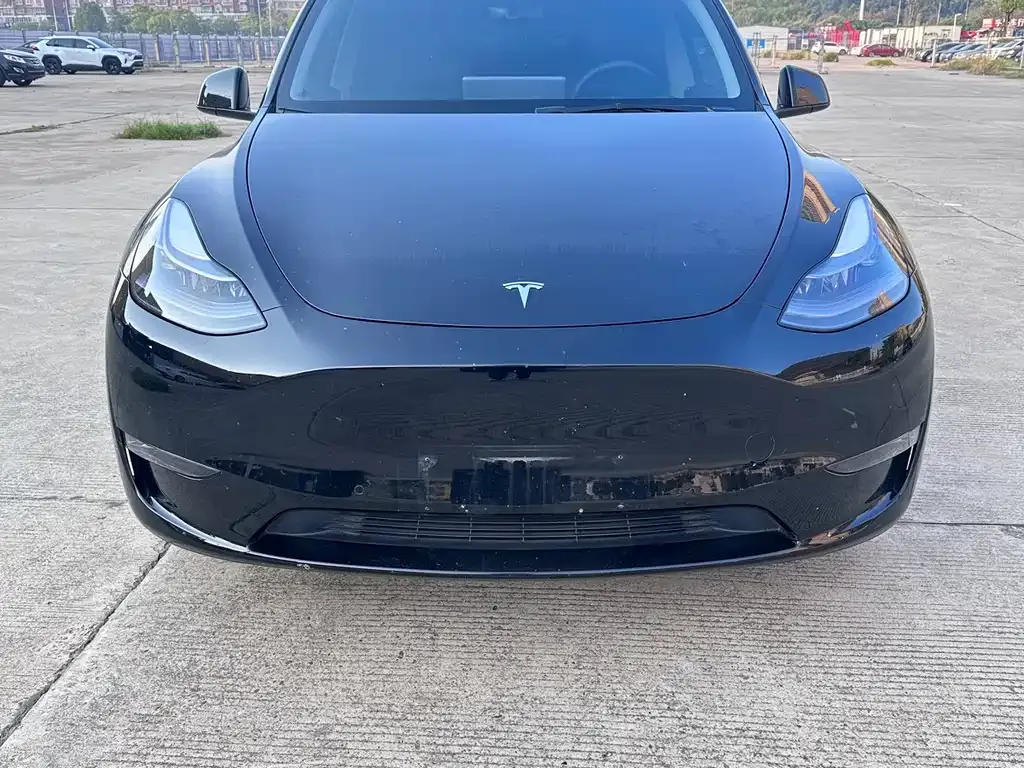 Tesla Model Y 2021 из CN, фото 2