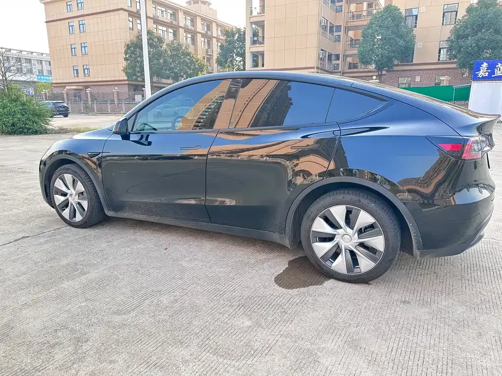 Tesla Model Y 2021 из CN, фото 3