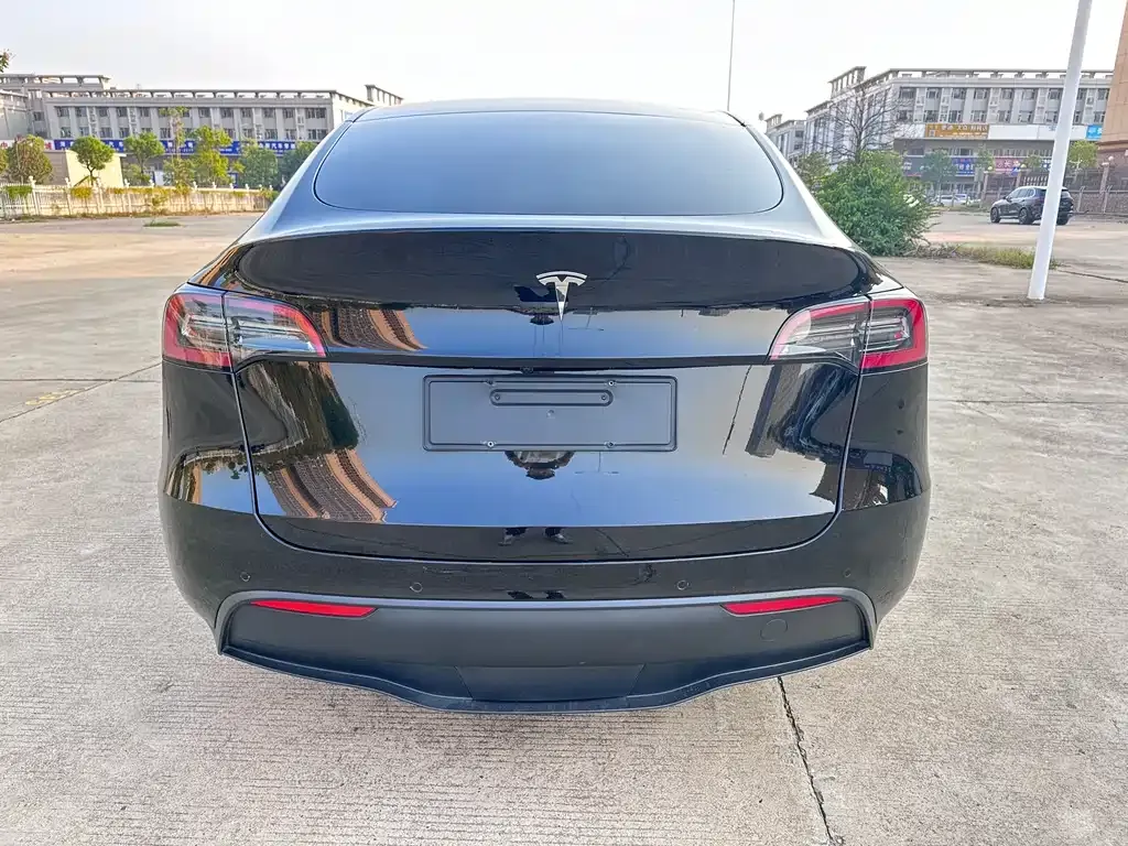 Tesla Model Y 2021 из CN, фото 4