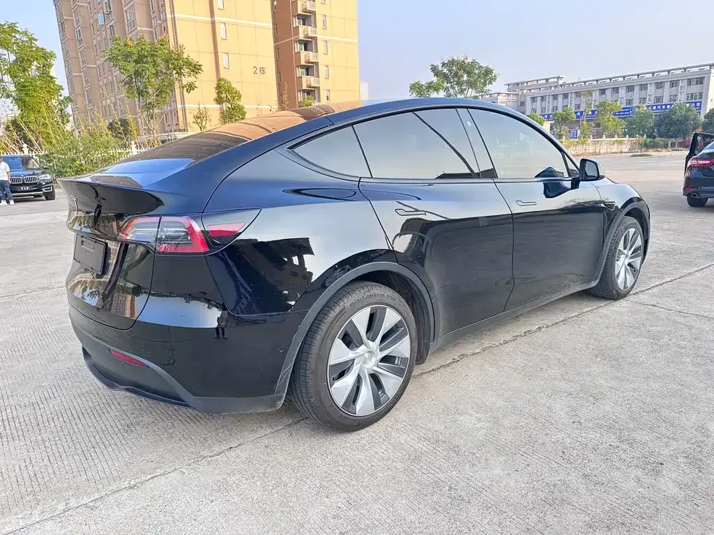 Tesla Model Y 2021 из CN, фото 5