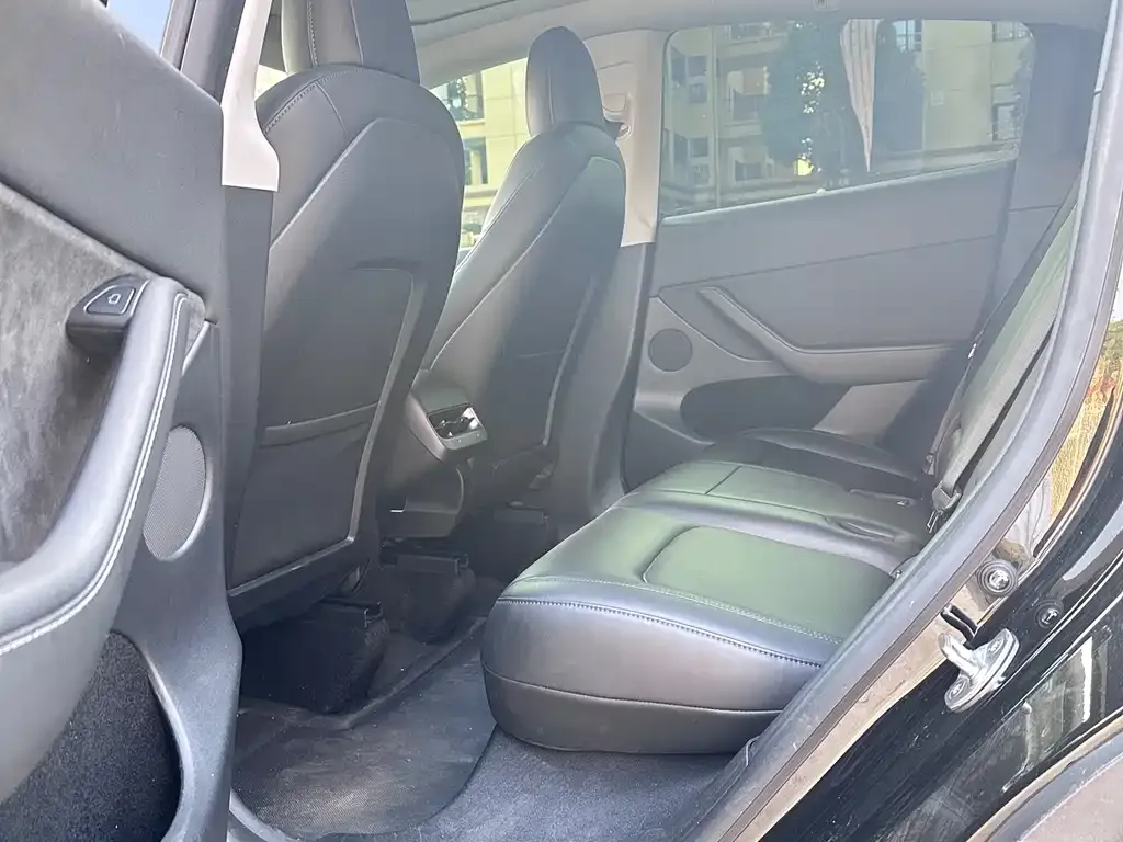 Tesla Model Y 2021 из CN, фото 6