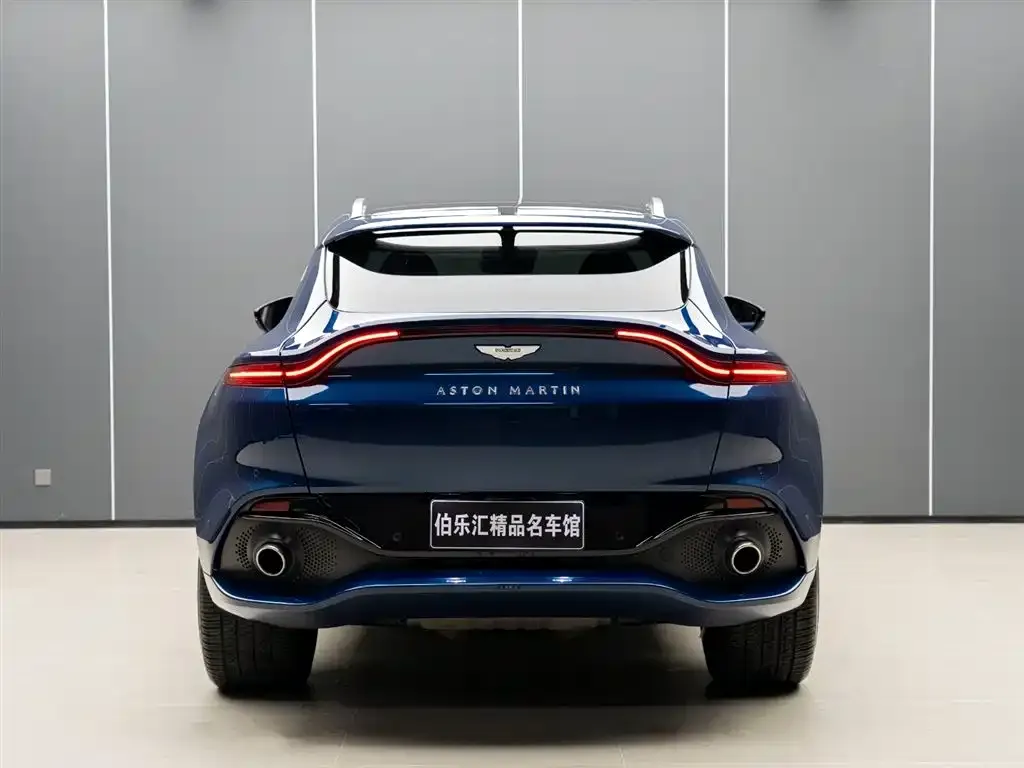 Aston Martin DBX 2021 из CN, фото 5