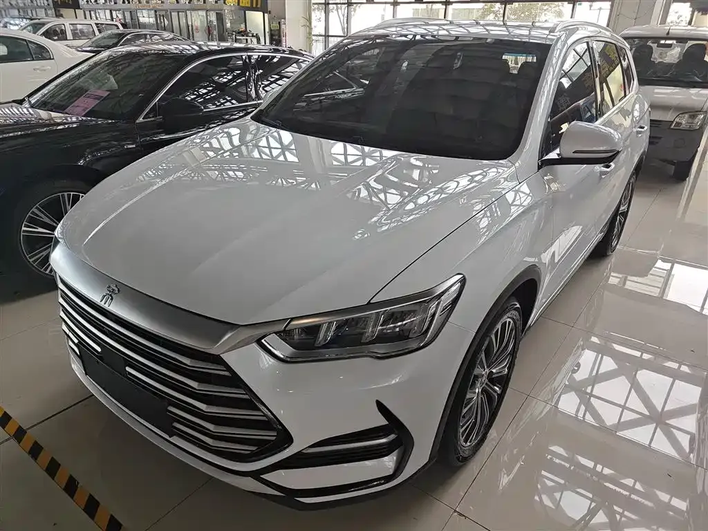 BYD Pro New Energy 2023 из CN, фото 2