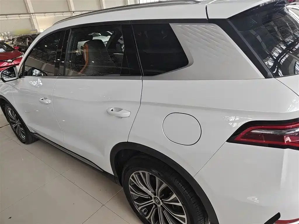 BYD Pro New Energy 2023 из CN, фото 5