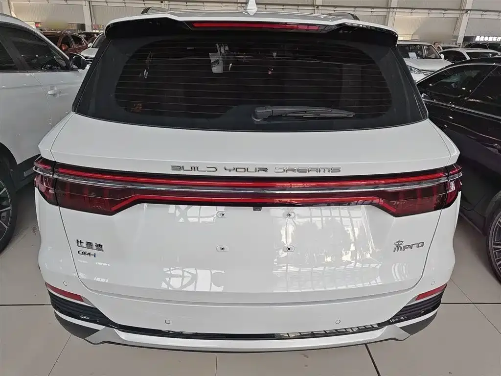 BYD Pro New Energy 2023 из CN, фото 6