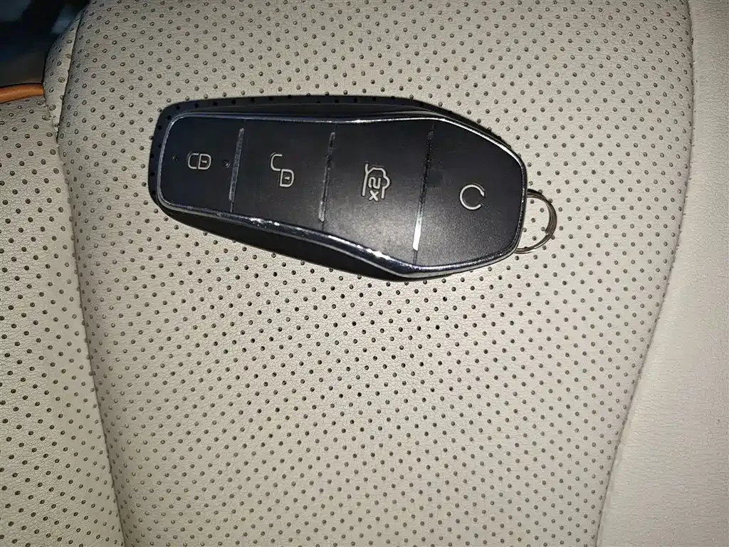 BYD Pro New Energy 2023 из CN, фото 9
