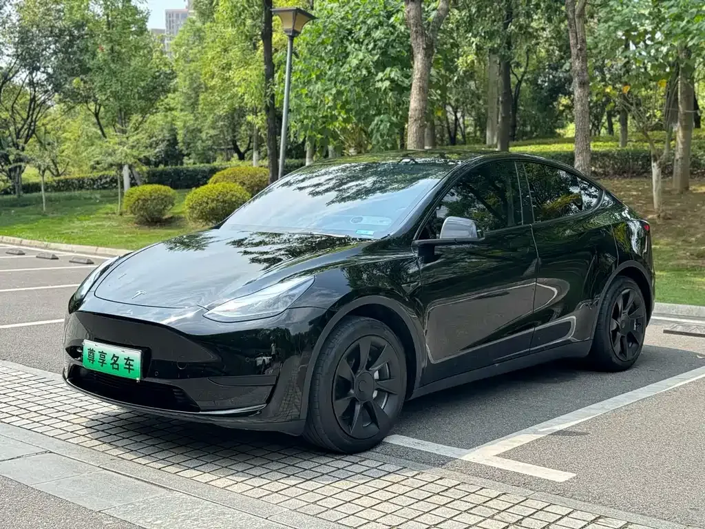 Tesla Model Y 2023 из CN, фото 1