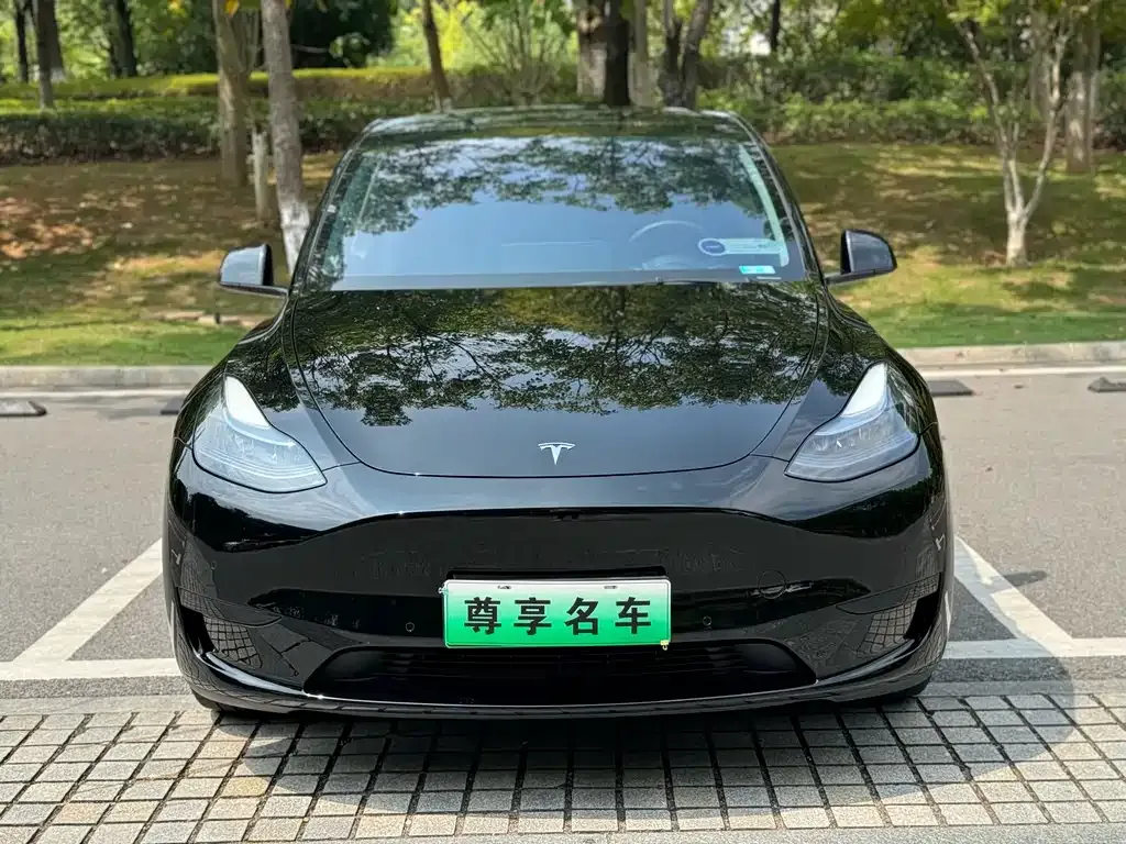 Tesla Model Y 2023 из CN, фото 2