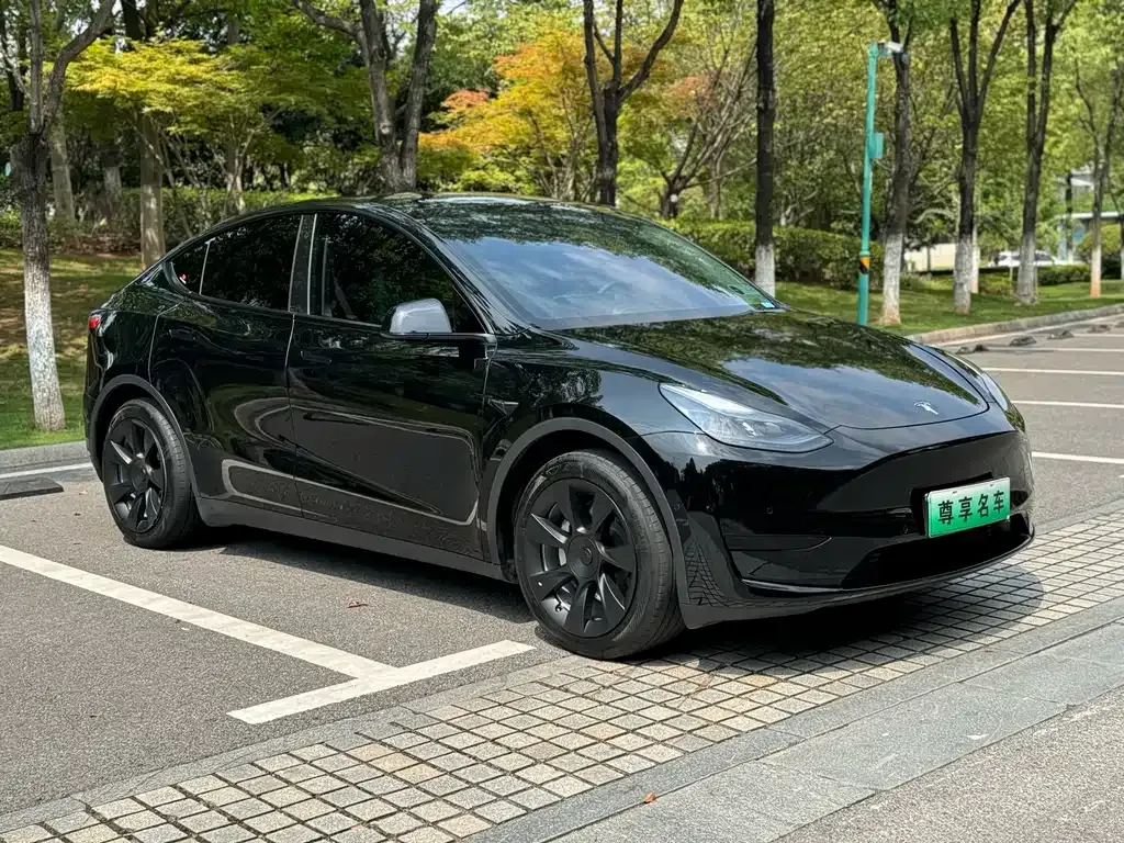 Tesla Model Y 2023 из CN, фото 3