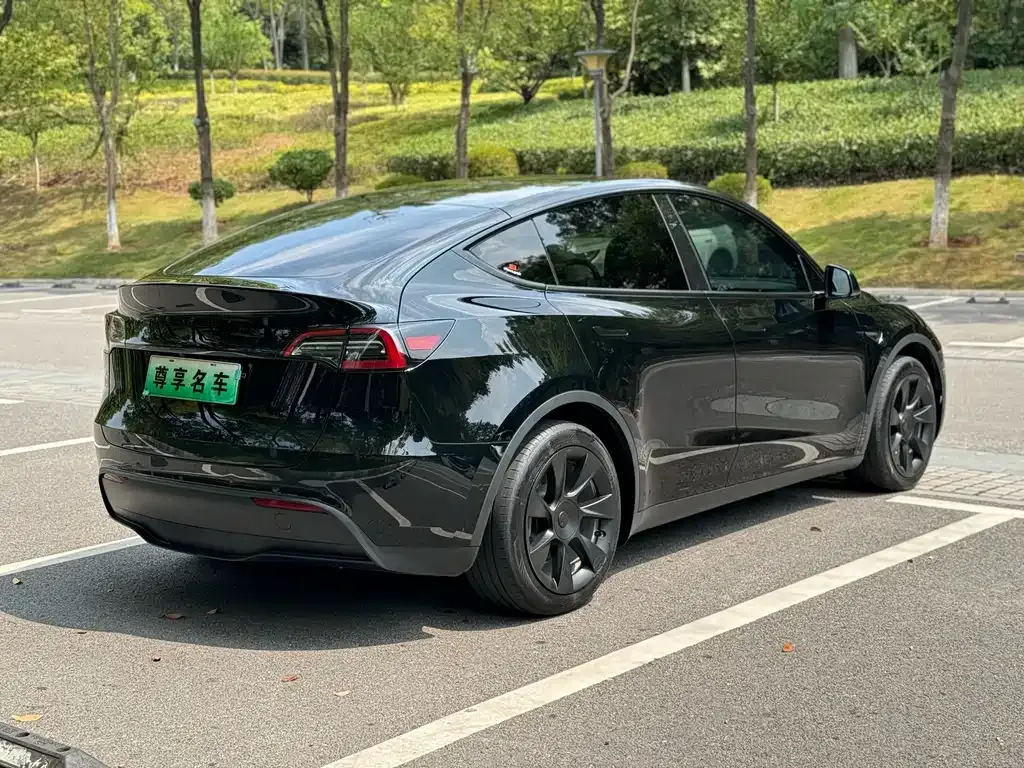 Tesla Model Y 2023 из CN, фото 5