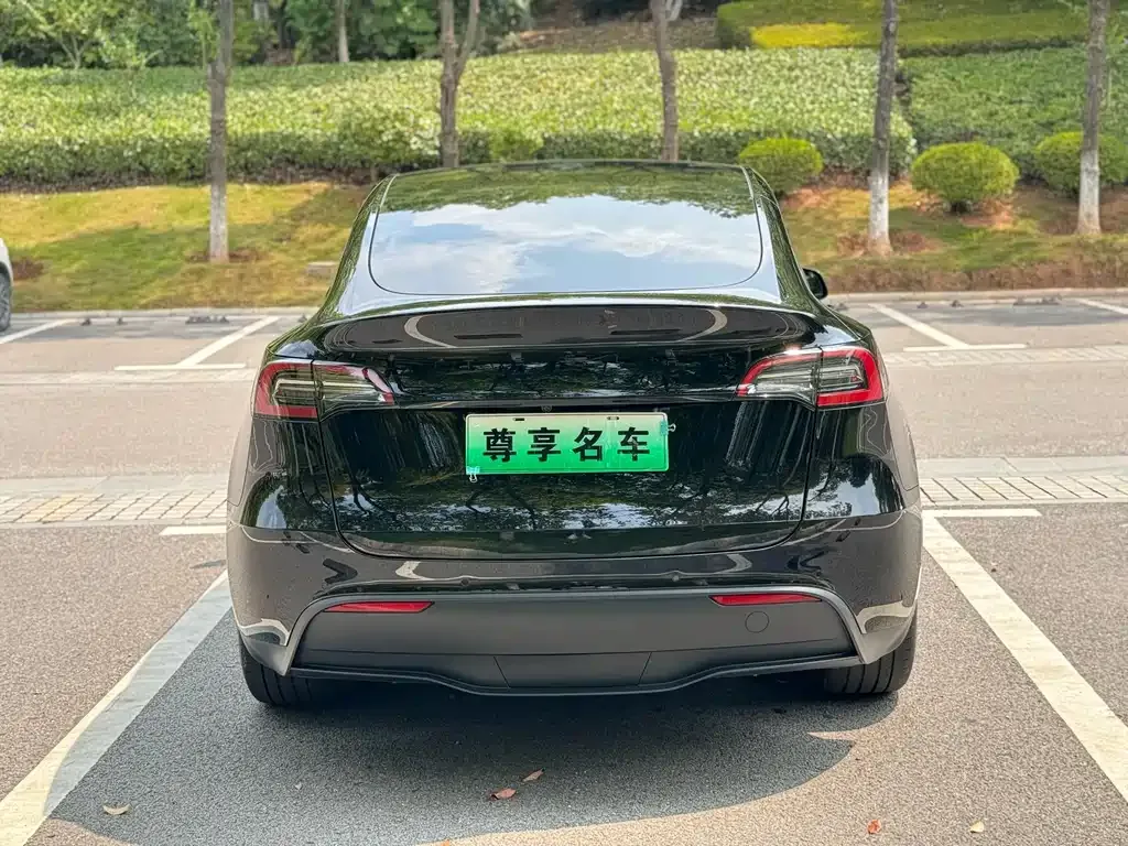 Tesla Model Y 2023 из CN, фото 6