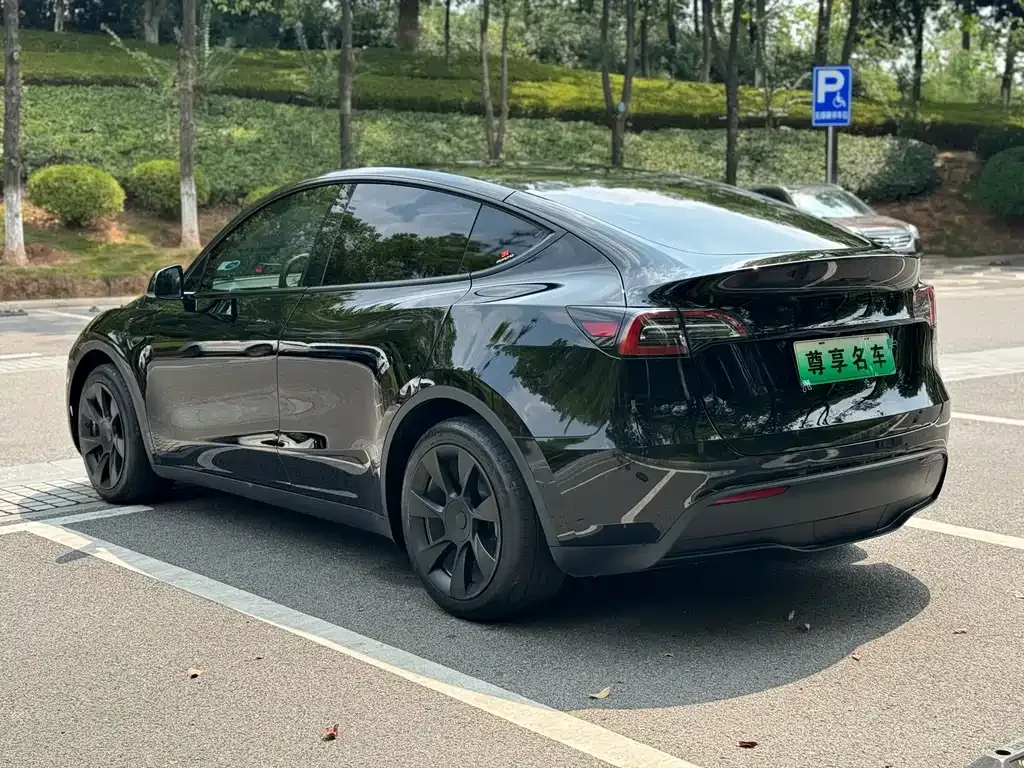 Tesla Model Y 2023 из CN, фото 7