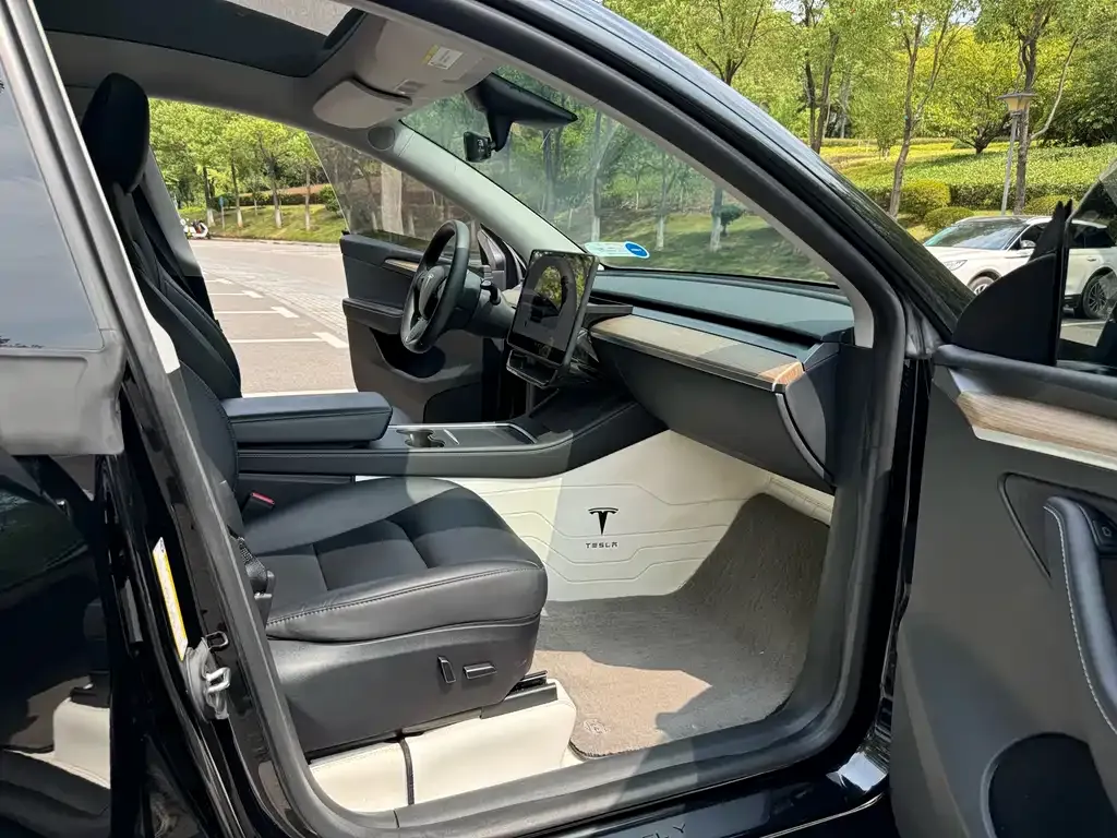 Tesla Model Y 2023 из CN, фото 9
