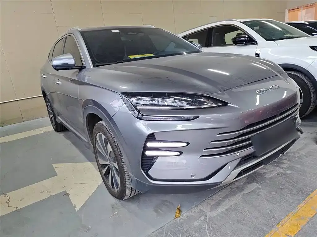 BYD PLUS New Energy 2023 из CN, фото 4