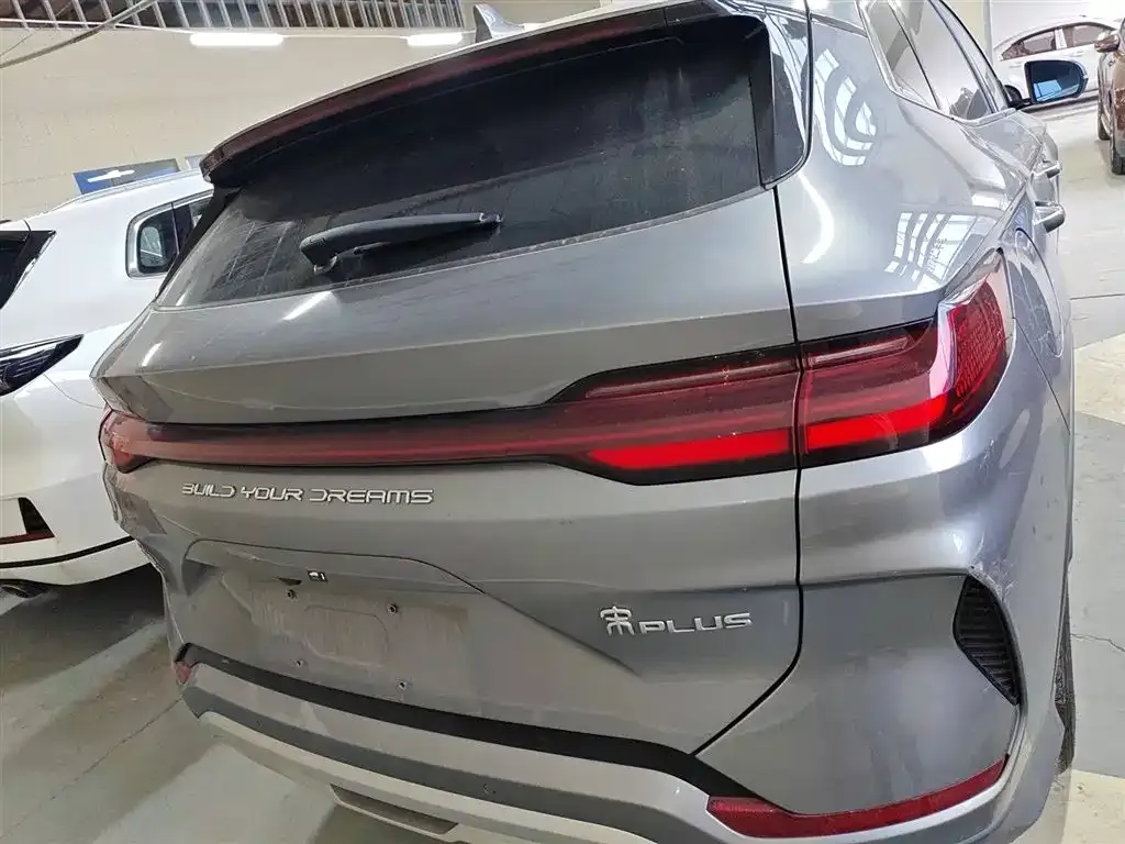 BYD PLUS New Energy 2023 из CN, фото 6
