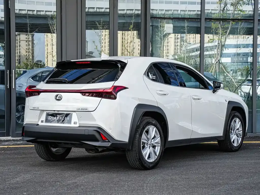 Lexus UX 2023 из CN, фото 4