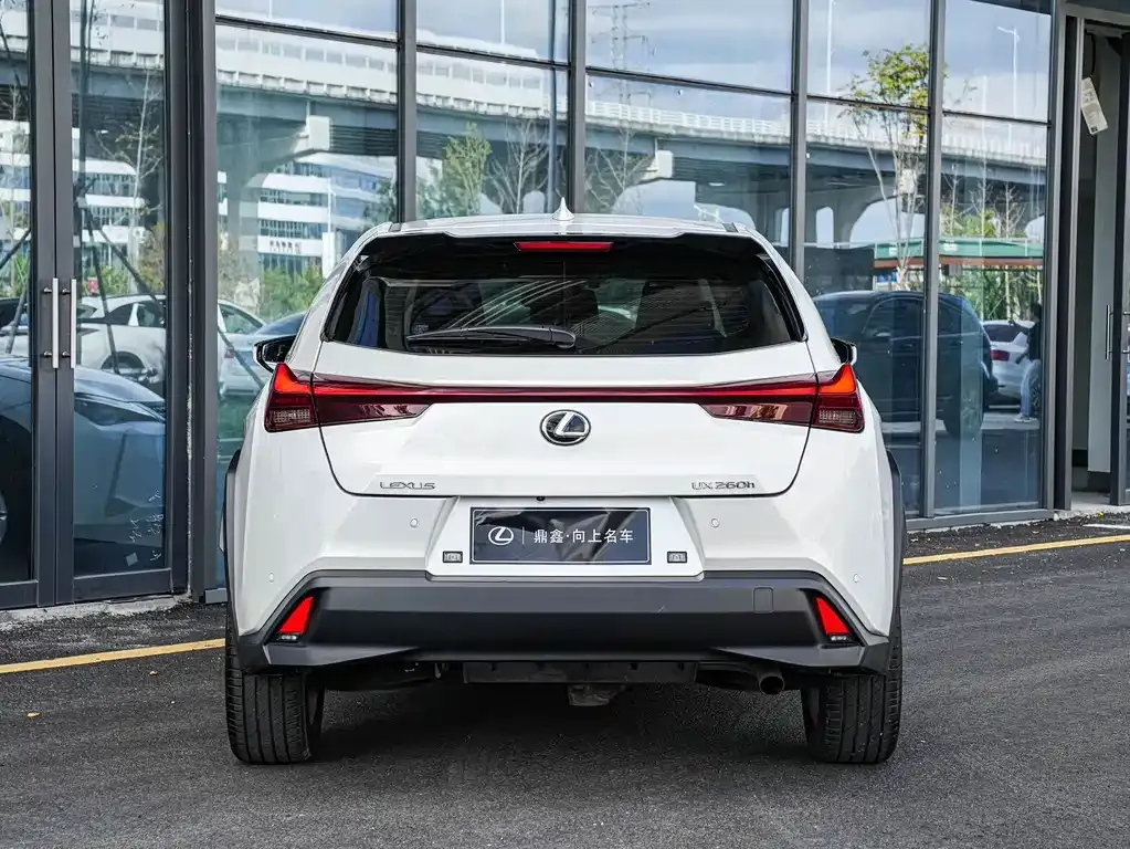 Lexus UX 2023 из CN, фото 5